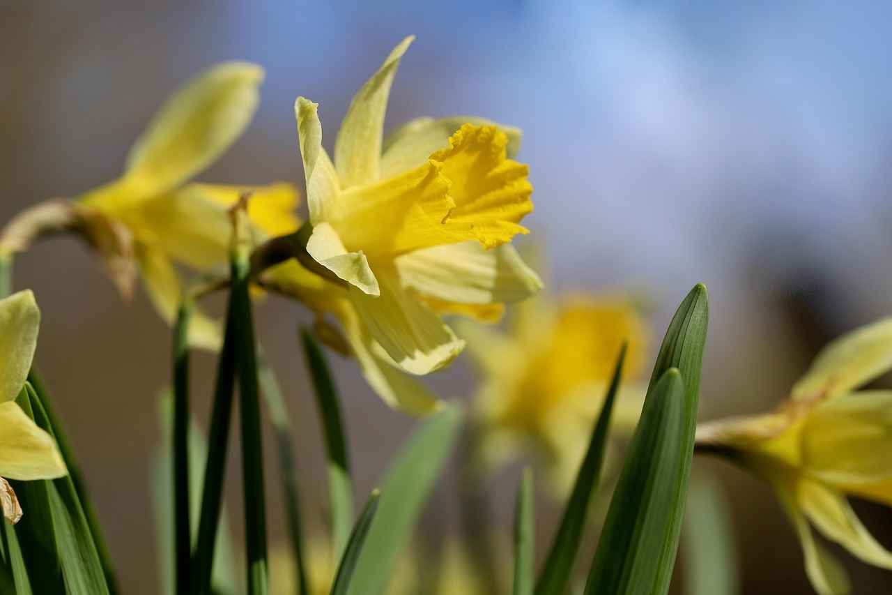 0.5 Kalem: İnce ve Zarif Yazı Deneyimi 4 0.5 Kalem Seçerken Dikkat Edilmesi Gerekenler