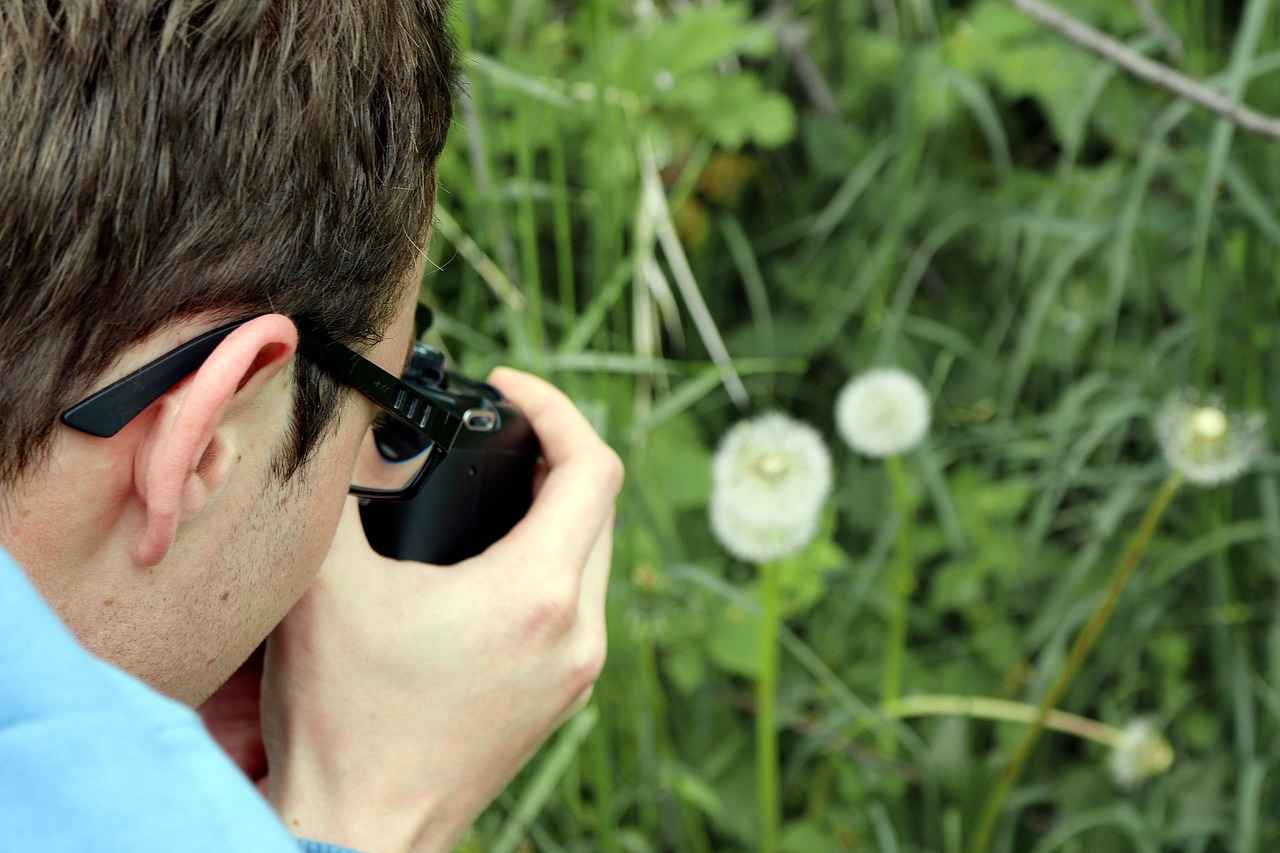 Cam Kalemi Nedir?