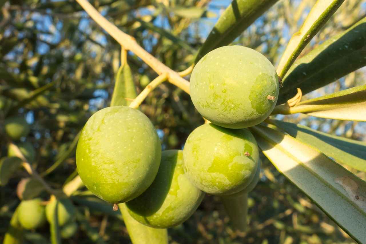 Malzeme Kalitesinin Önemi