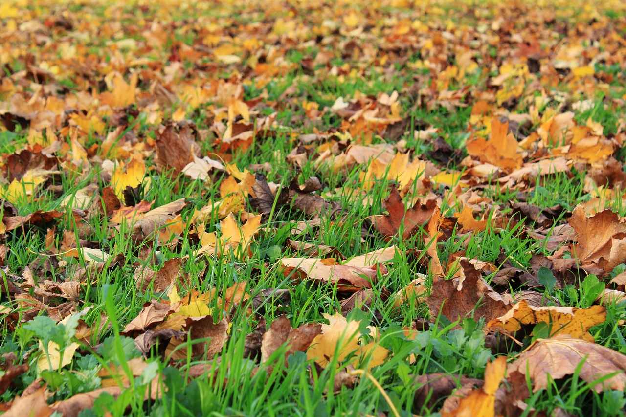 Deri Kalemliklerin Bakımı