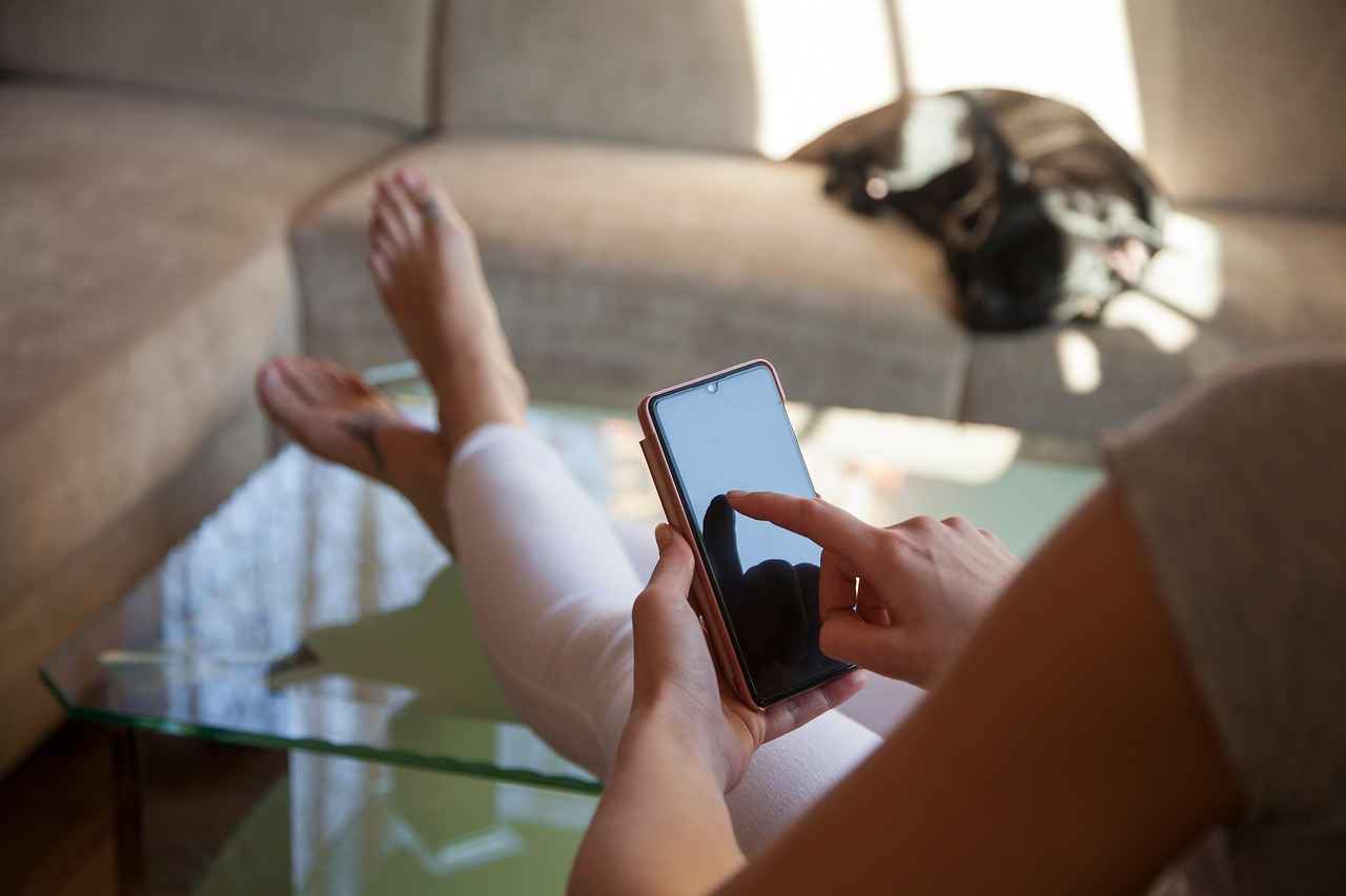 Deri Kalemlik Çeşitleri