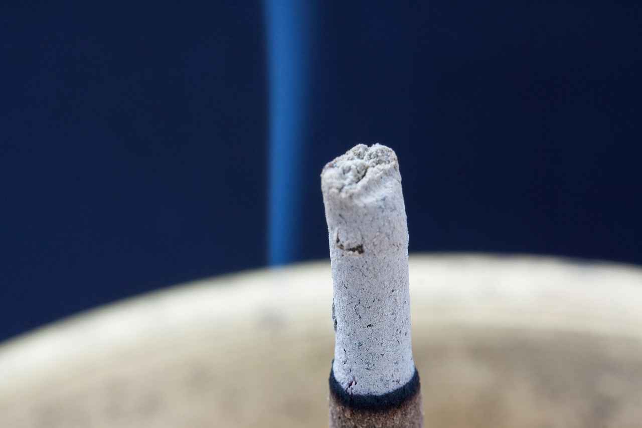 [Gelecek Projeksiyonları]