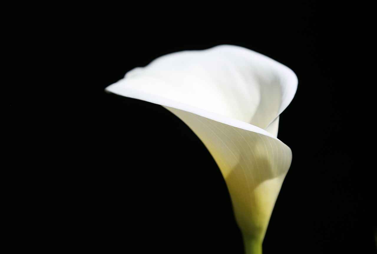 Mürekkep Seçerken Dikkat Edilmesi Gereken Faktörler