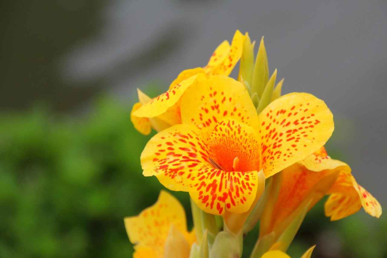 Dünya Kırtasiye: Dünyanın En İyi Kırtasiyeleri 2 Kırtasiye Ürünlerinin Tarihçesi