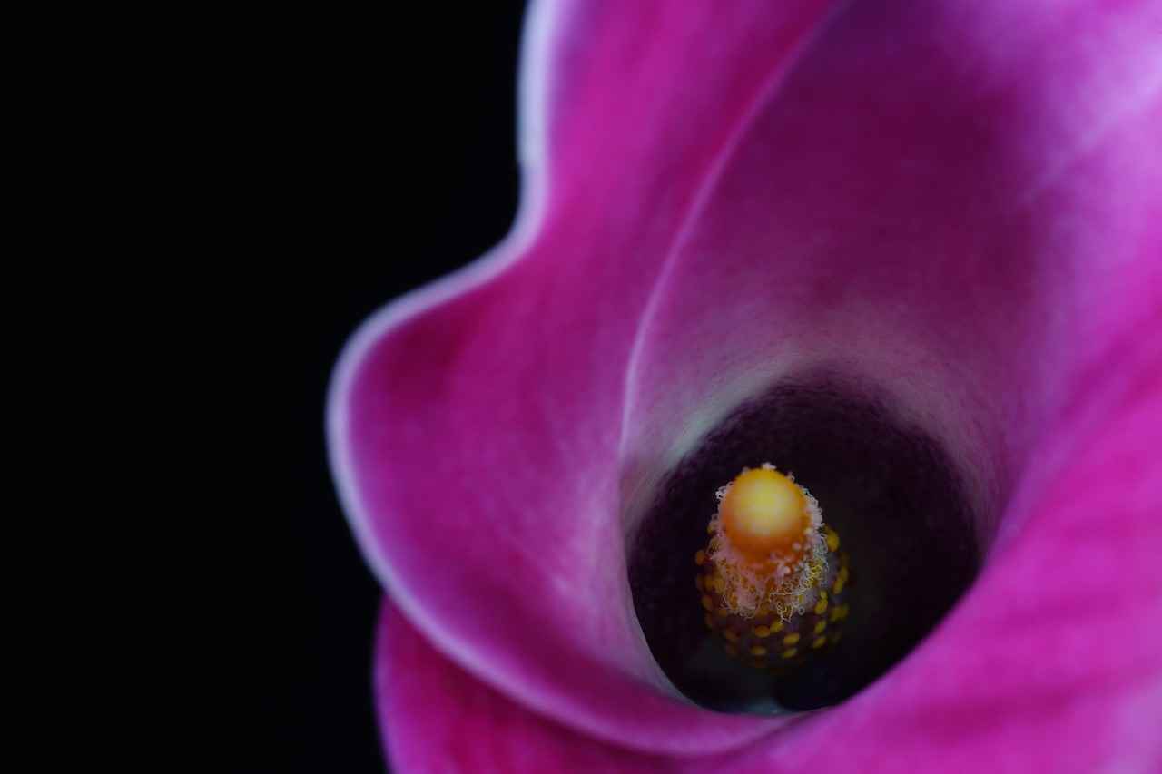 Farklı Fiyat Aralıkları ve Kalite Karşılaştırması