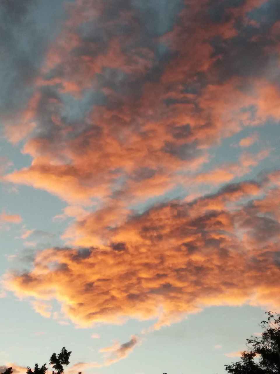 Körüklü Dosya Seçerken Dikkat Edilmesi Gerekenler