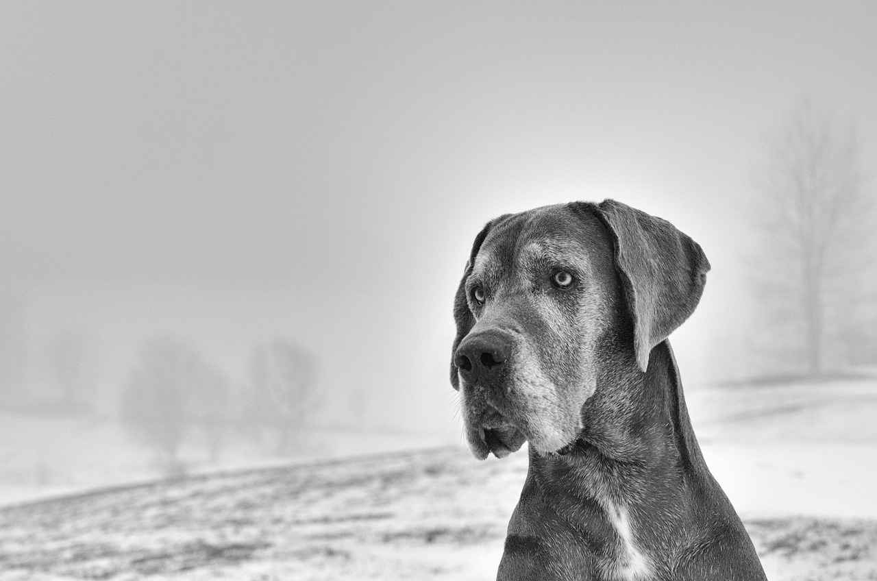 Temel Kırtasiye Malzemeleri Listesi