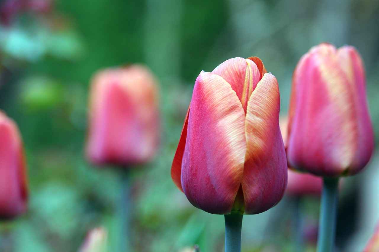 Pentel Kalem: Kaliteden Ödün Vermeyenler 4 Pentel Kalemlerin Dezavantajları