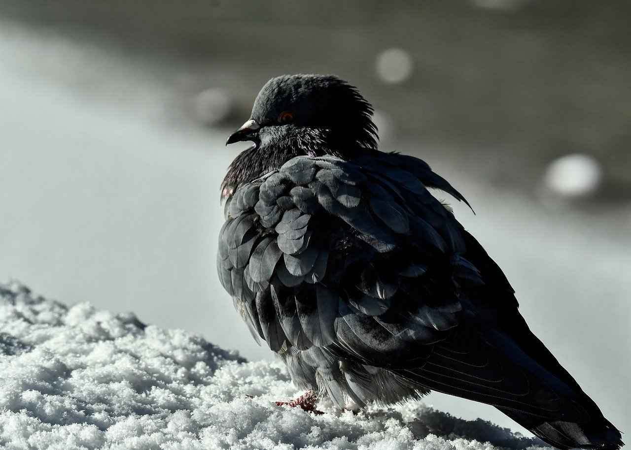 Rotring Kalem Seçerken Dikkat Edilmesi Gerekenler