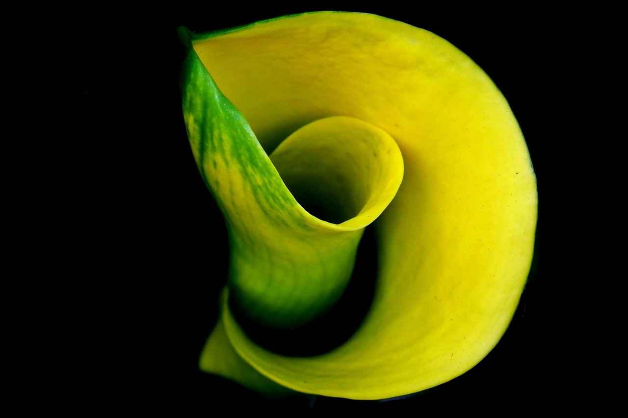 Silinebilen Tükenmez Kalemler: Hatasız Yazım İmkânı 2 Silinebilen Tükenmez Kalemlerin Avantajları