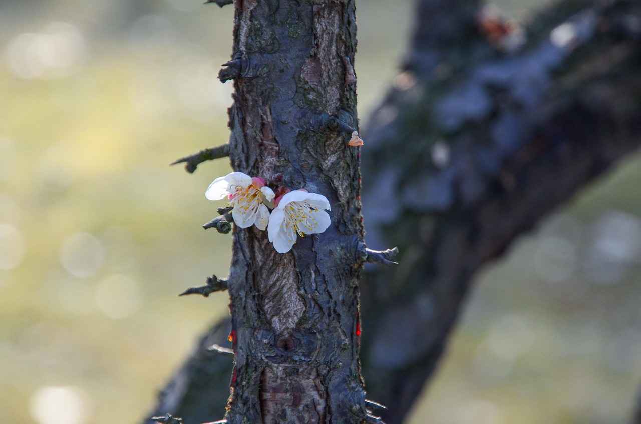 Silinebilen Tükenmez Kalemler: Hatasız Yazım İmkânı 3 Piyasadaki En İyi Silinebilen Tükenmez Kalem Markaları