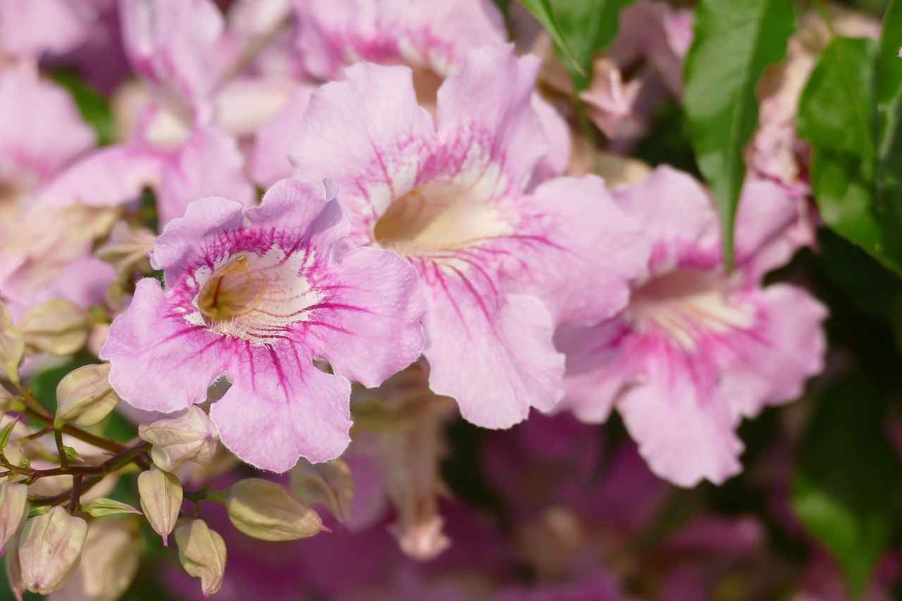 Şırıngalı Kalem: İlginç ve Fonksiyonel Tasarım 3 Şırıngalı Kalemlerin Avantajları ve Dezavantajları