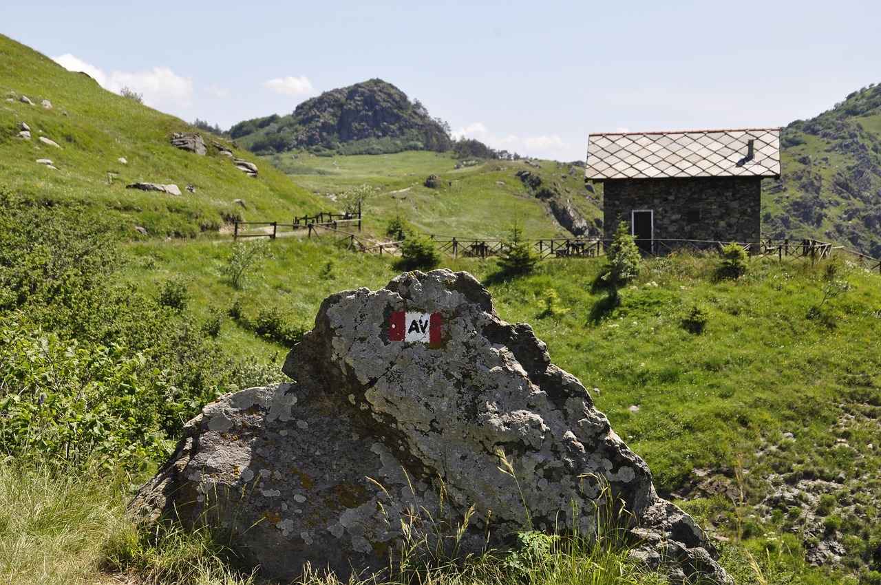 Tombow Kalemlerle Yapılabilecek Projeler