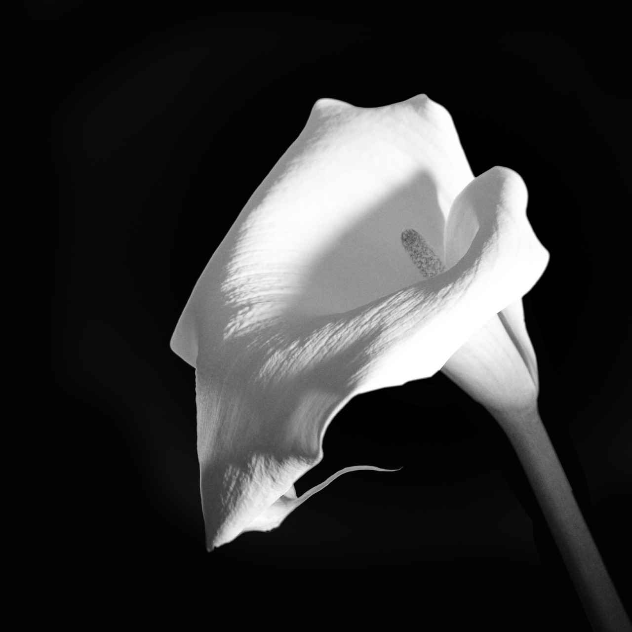 Tükenmez Kalem İçi: Değiştirilebilir ve Uzun Ömürlü Tükenmez Kalem İçi: Değiştirilebilir ve Uzun Ömürlü