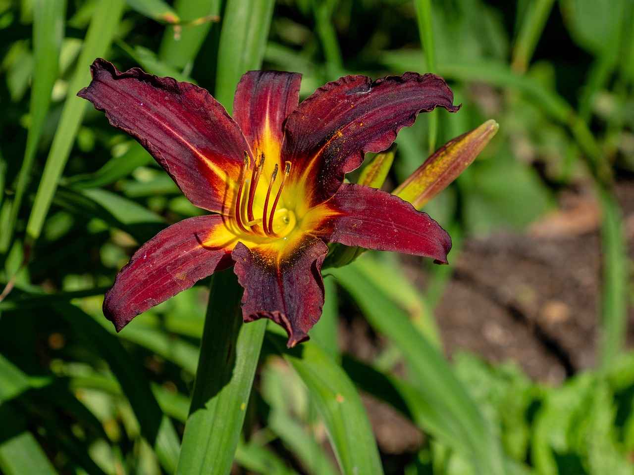 Uzun Ömürlü Tükenmez Kalem İçleri
