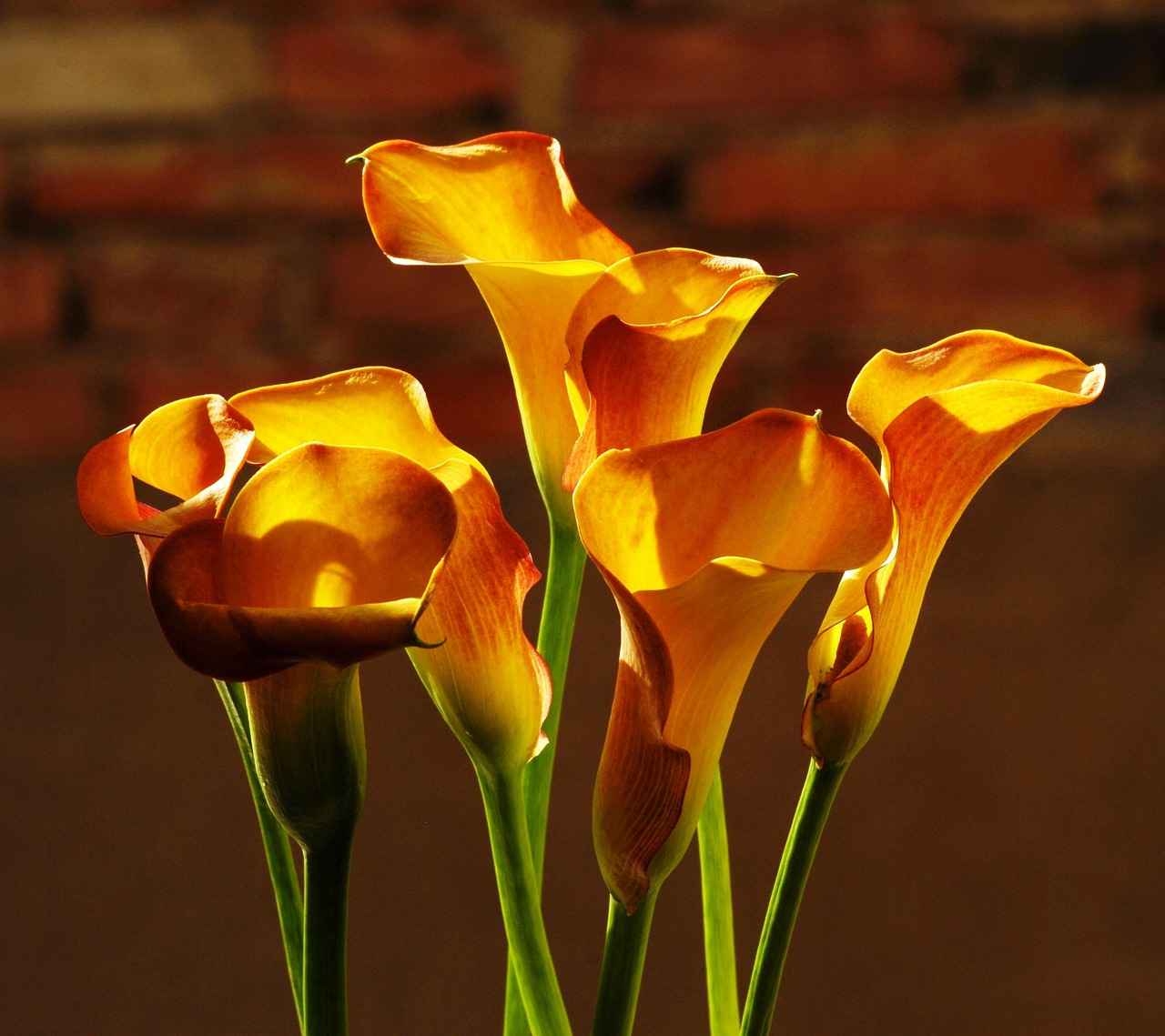 Versatil Kalem: İşlevselliği İle Öne Çıkıyor Versatil Kalem: İşlevselliği İle Öne Çıkıyor