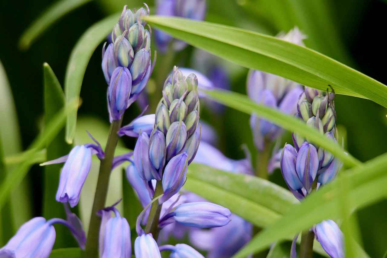 Versatil Kalemlerin Tarihçesi