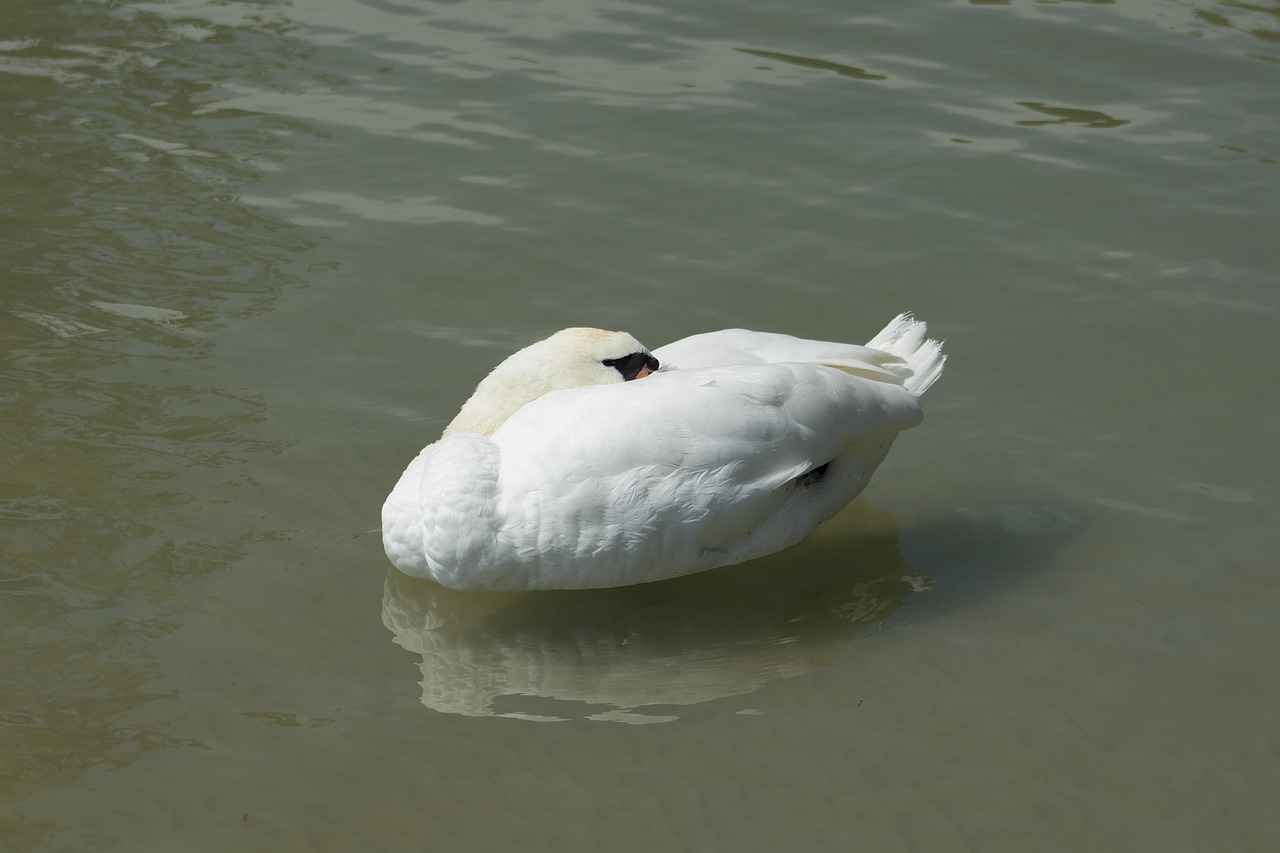 Yaratıcı Zihinler İçin En İyi Cam Kalemi Markaları Yaratıcı Zihinler İçin En İyi Cam Kalemi Markaları