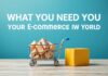 E-Ticaret Dünyasında Başarı İçin Gerekenler What You Need to Succeed in the E-Commerce World
