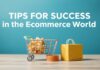 E-Ticaret Dünyasında Başarı İçin İpuçları Tips for Success in the E-Commerce World