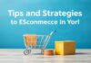 E-Ticaret Dünyasında Başarı İçin İpuçları ve Stratejiler Tips and Strategies for Success in the E-Commerce World