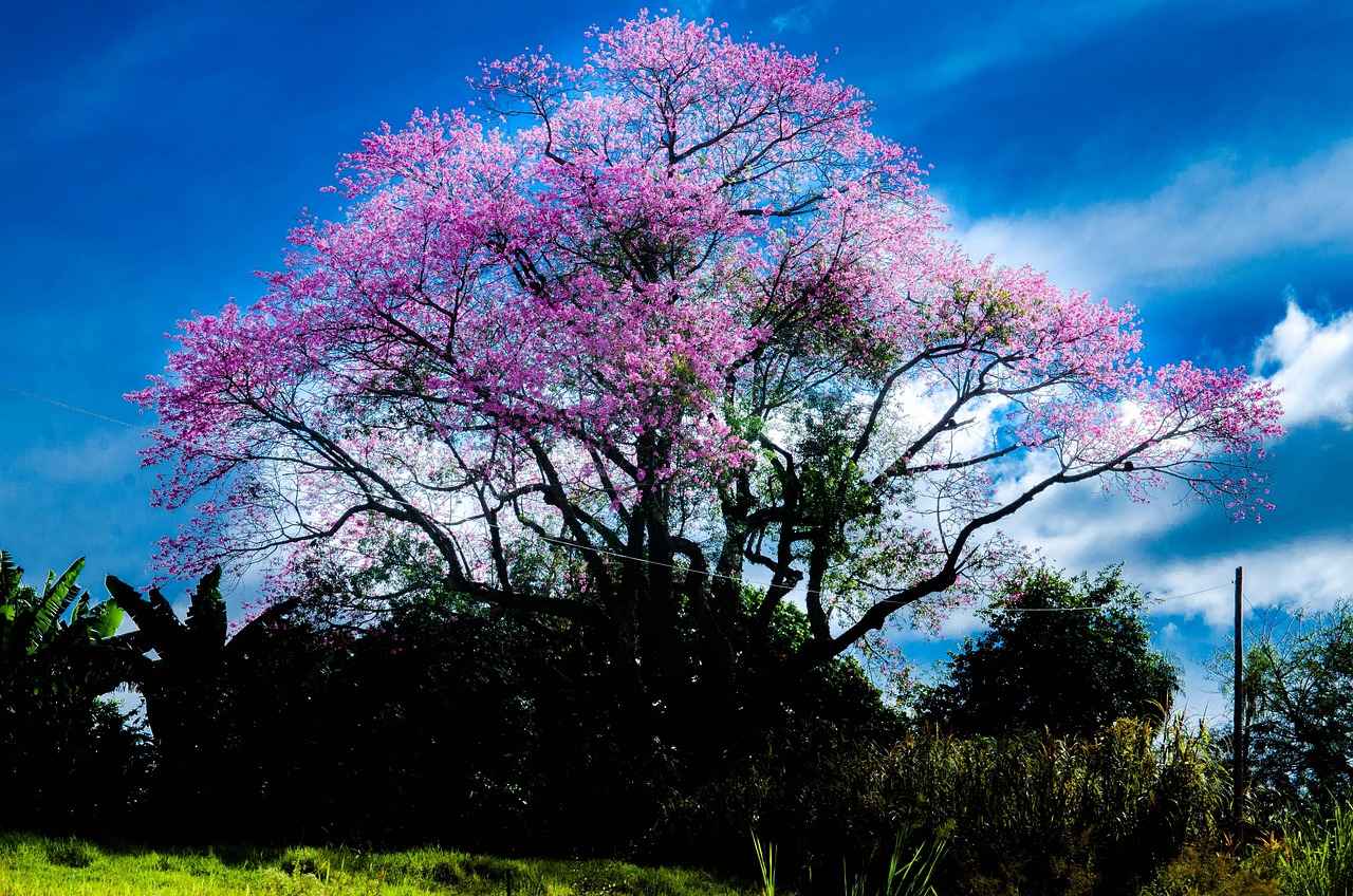 0.5 Uçlu Kalem Nedir?