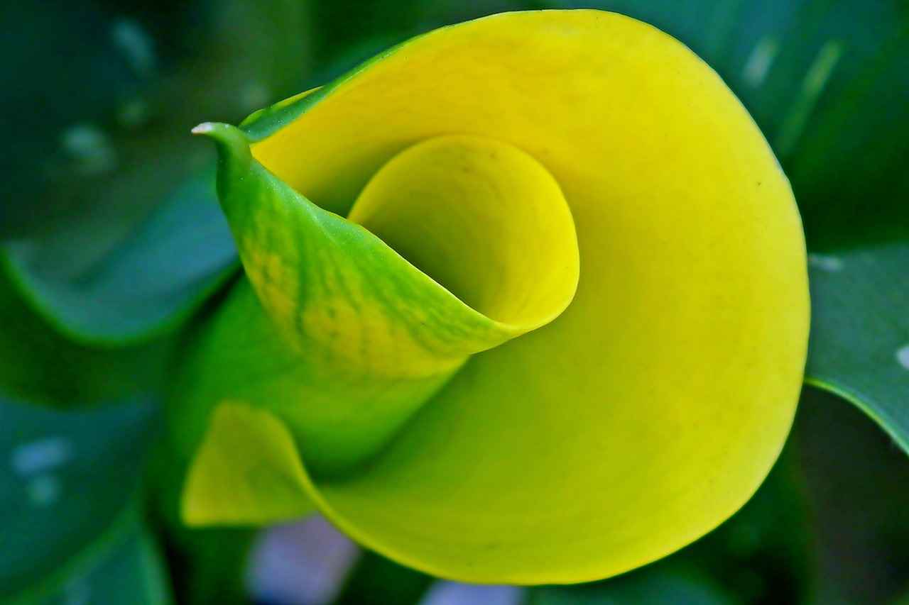 Akıllı Kalemlerin Avantajları