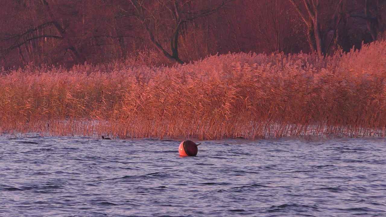 Akrilik Boya ile Uygulama Teknikleri