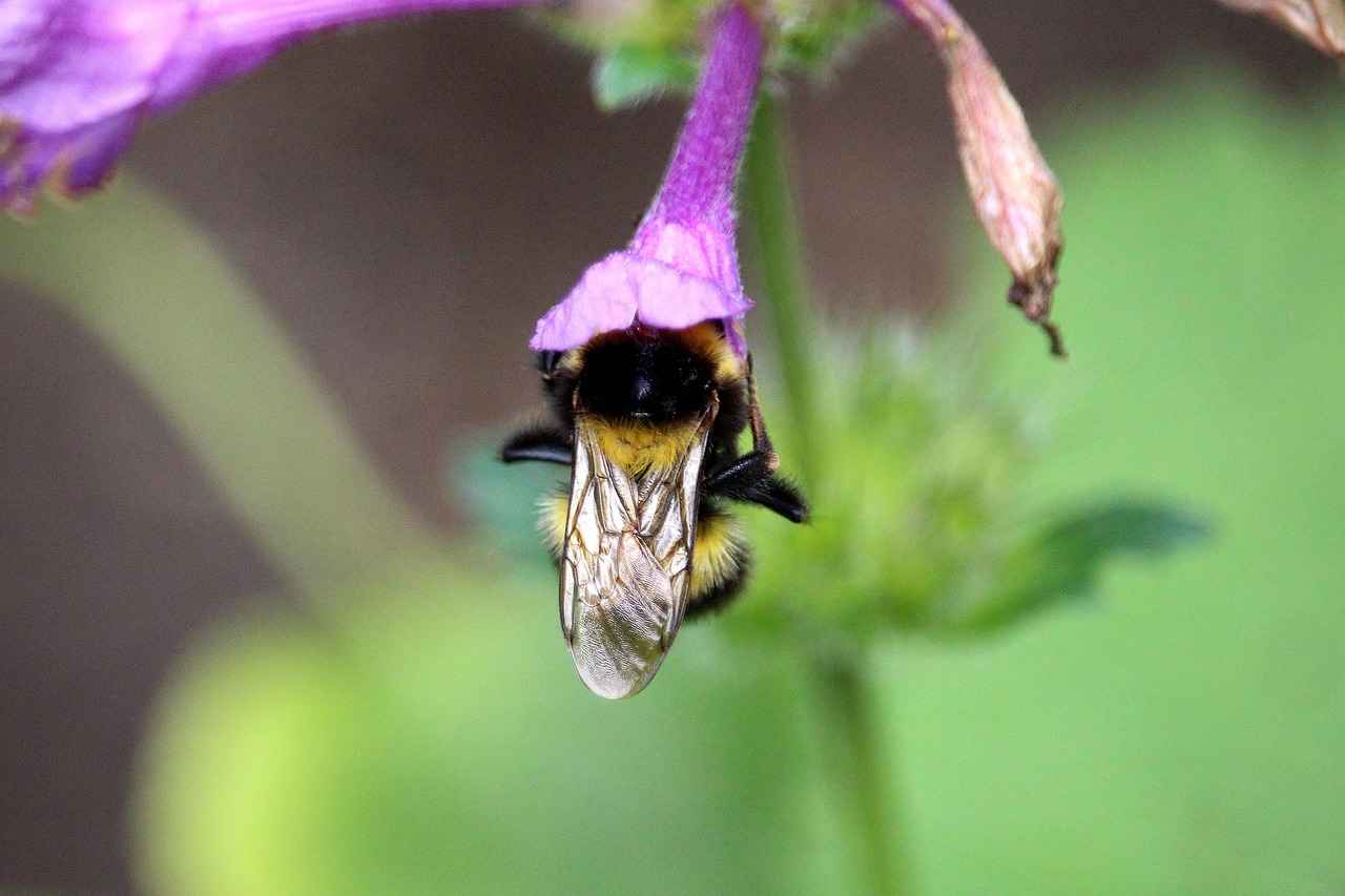 Avcılar Kırtasiye: Popüler Ürünler ve Fiyatları