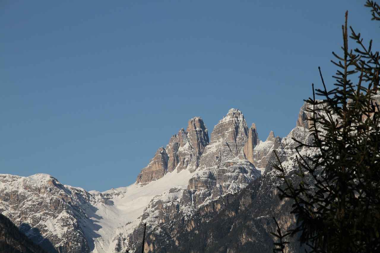 Bayrak Türleri ve Tasarım Özellikleri