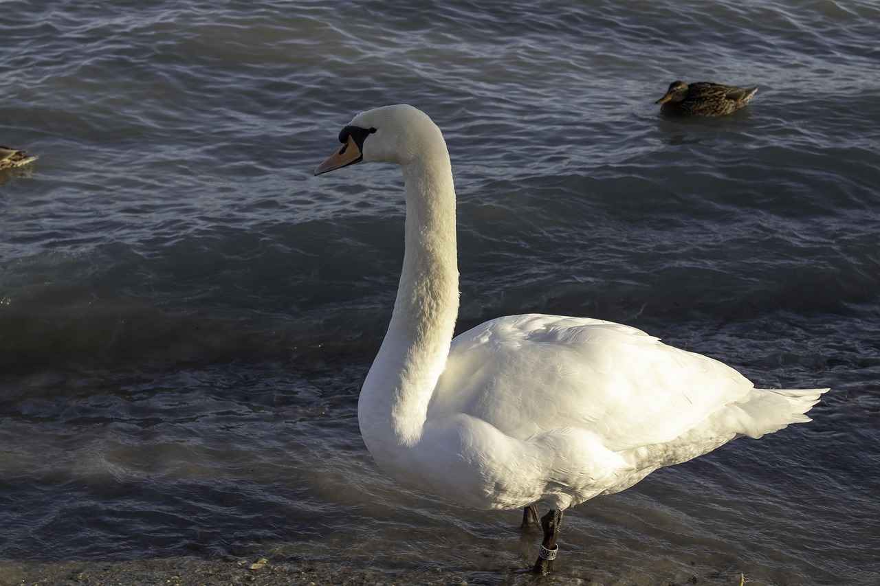Farklı Yüzeylerde Cam Kalemi Kullanımı