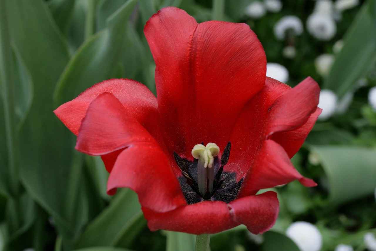 Dokunmatik Kalemlerin Geleceği