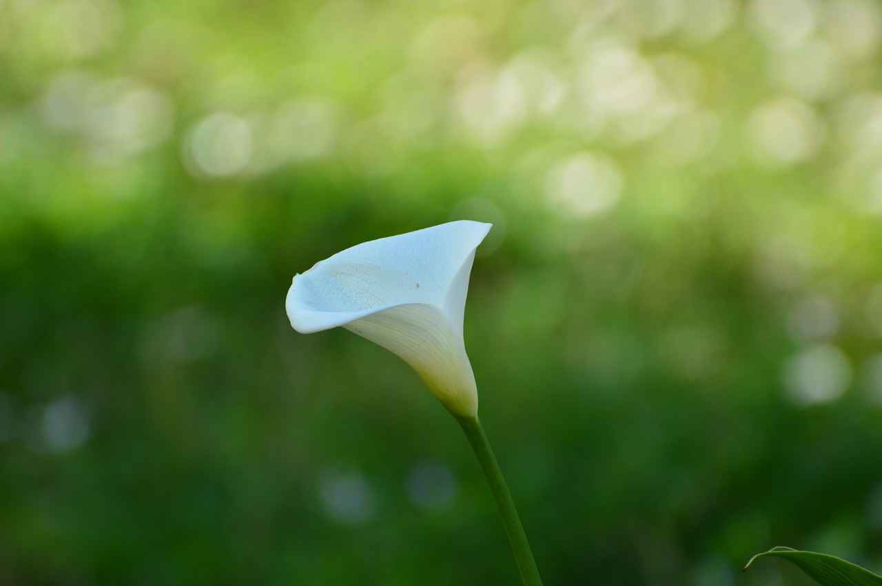 En Popüler Kırtasiye Markaları