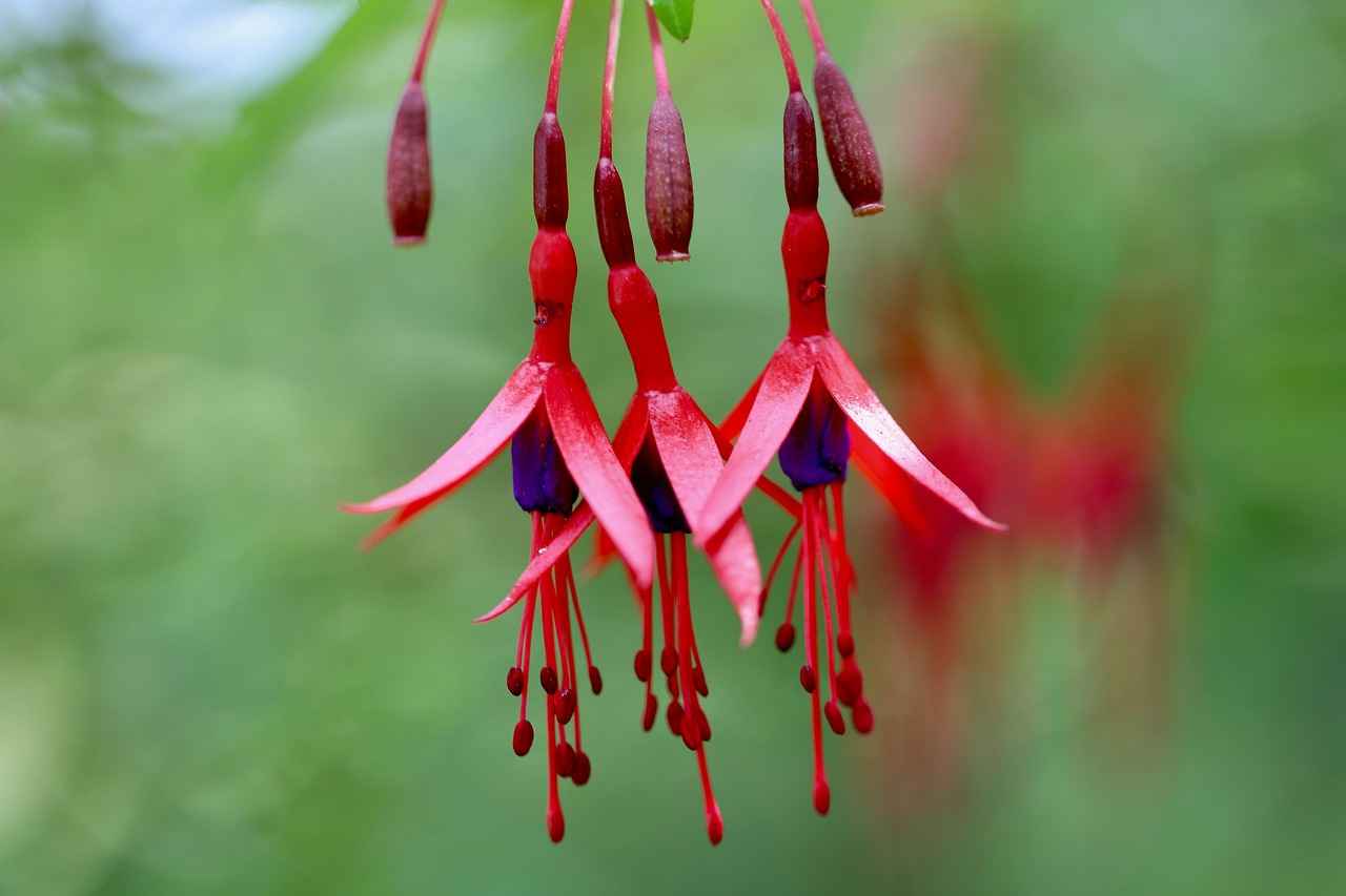 Değerini Belirleyen Faktörler