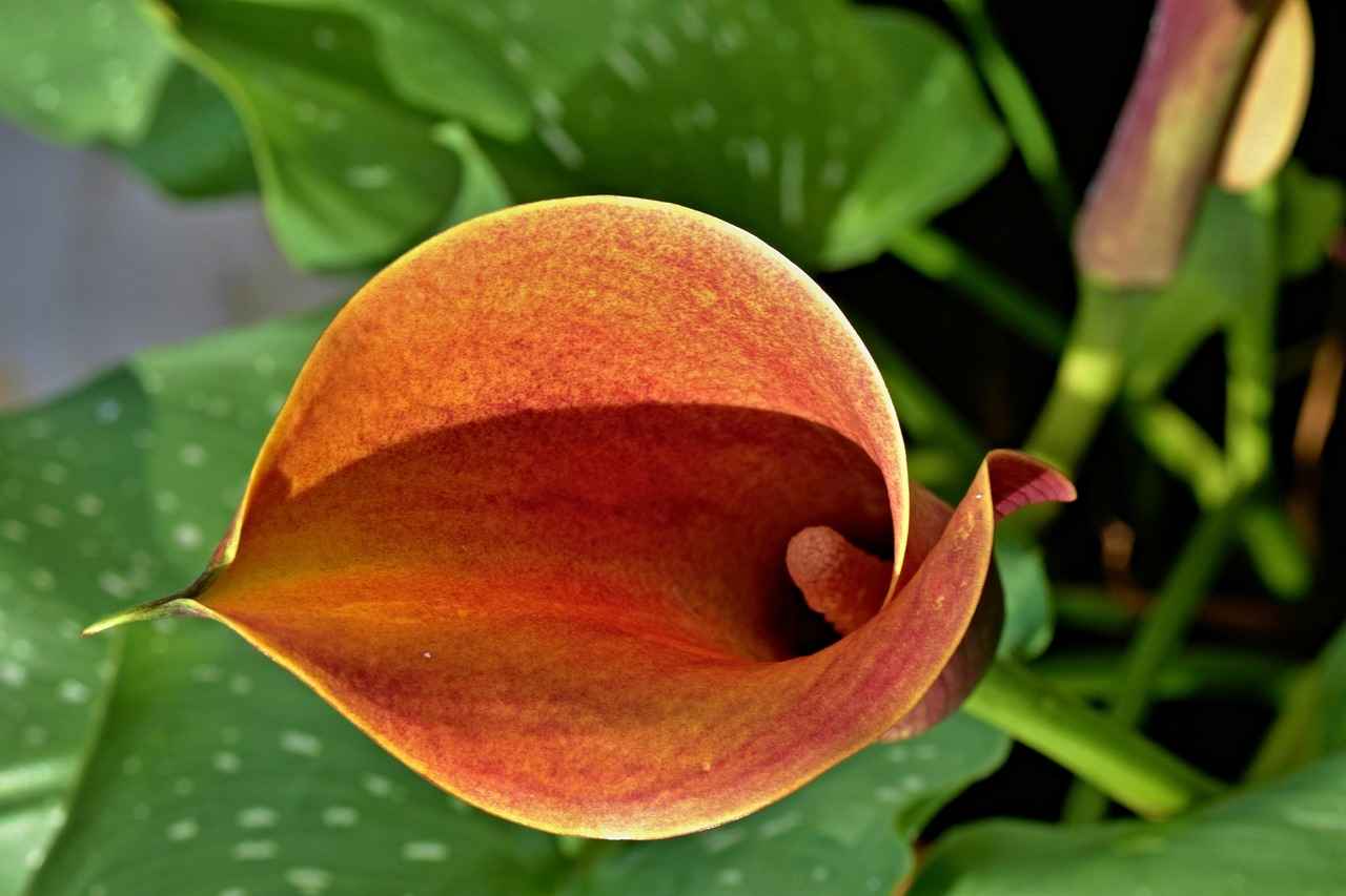 Gelecekteki Trendler