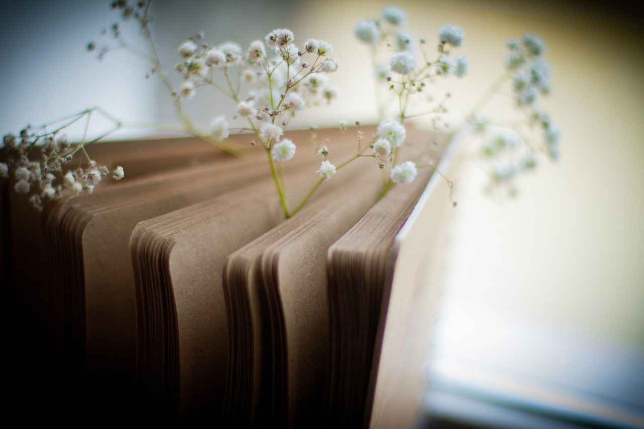 Farklı Kalemlik Türleri