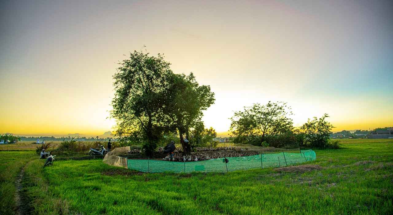 Her Öğrencinin İhtiyacı Olan 10 Temel Kırtasiye Malzemesi