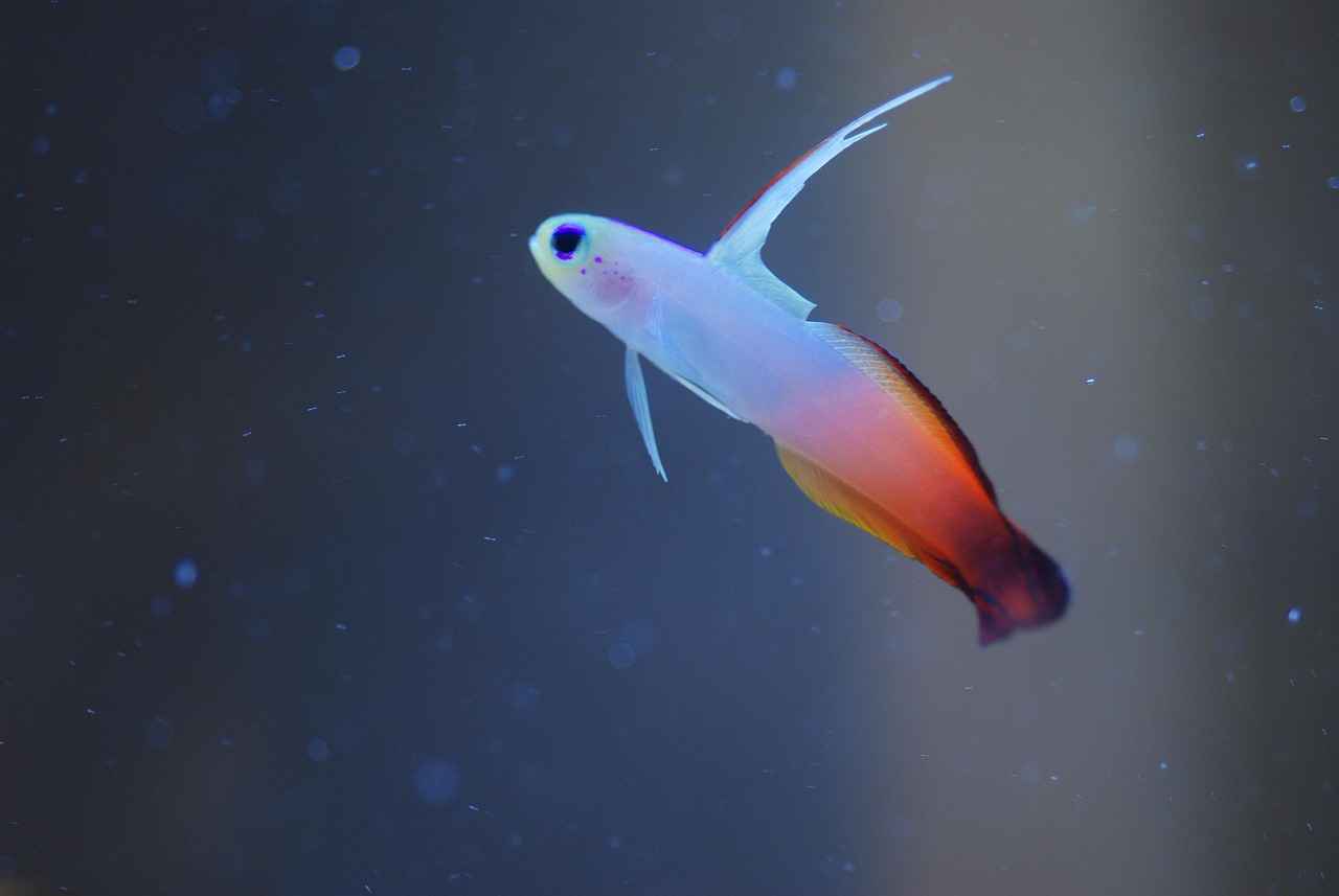 İnce Uçlu Kalemlerin Dezavantajları