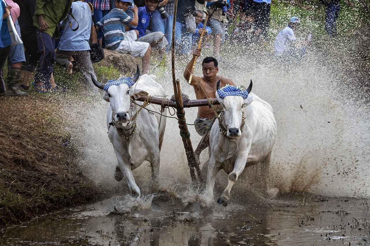 İsim Yazılı Kalemlerin Tarihçesi