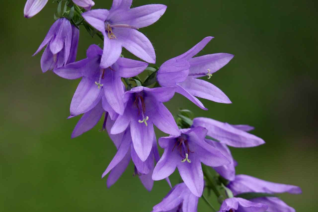 Jel Kalem Kullanım Teknikleri