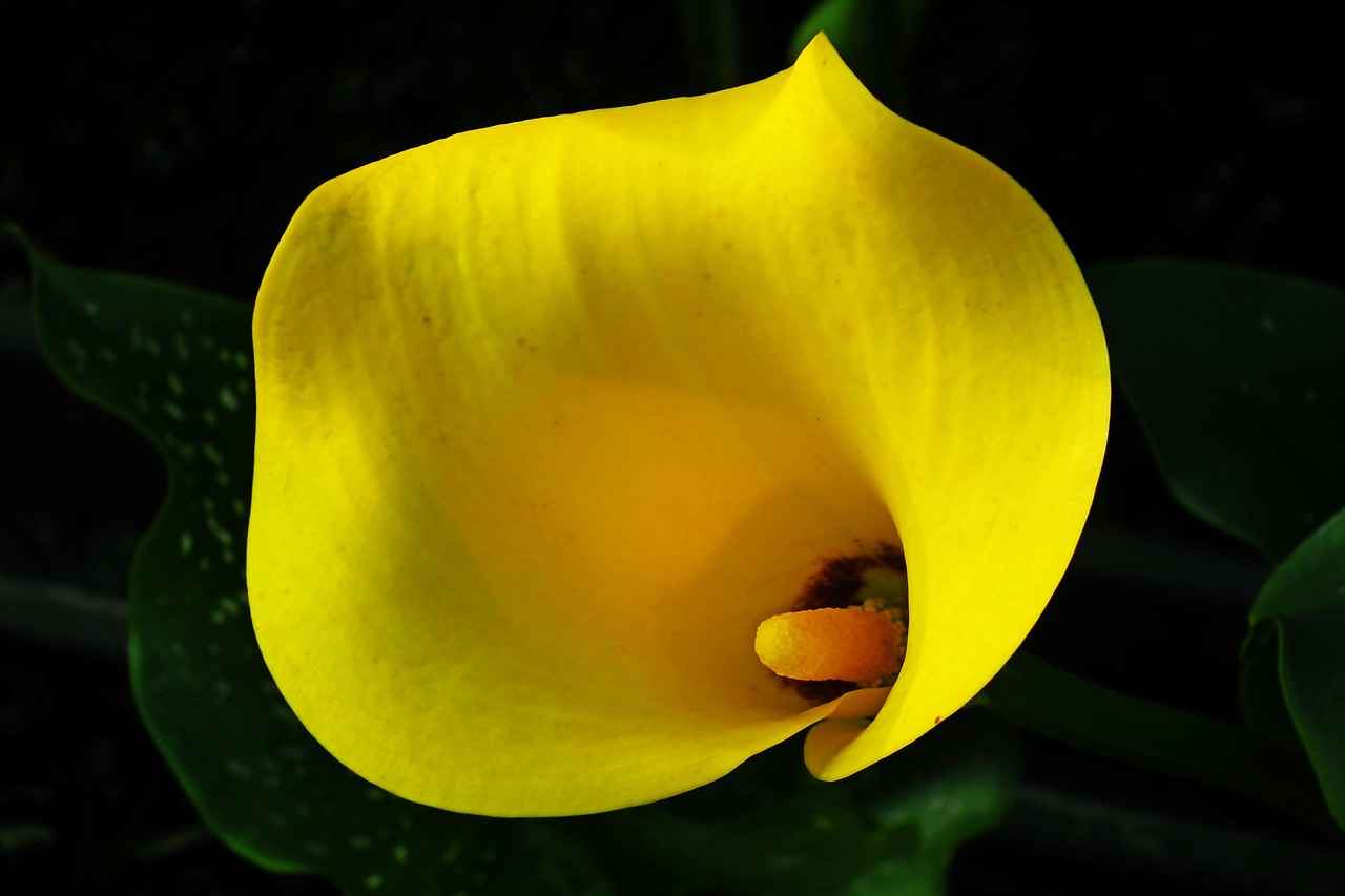 Kalem Çantası Seçerken Dikkat Edilmesi Gerekenler