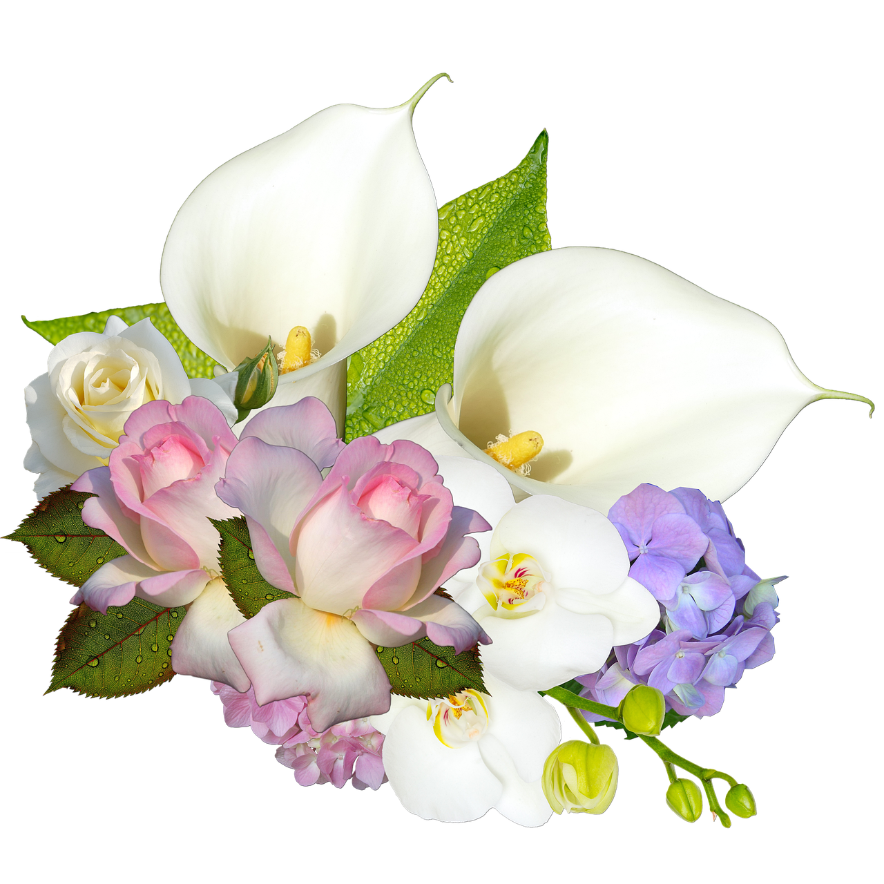 Kalem Hediye Seçimi: Hangi Durumda Hangi Kalem?