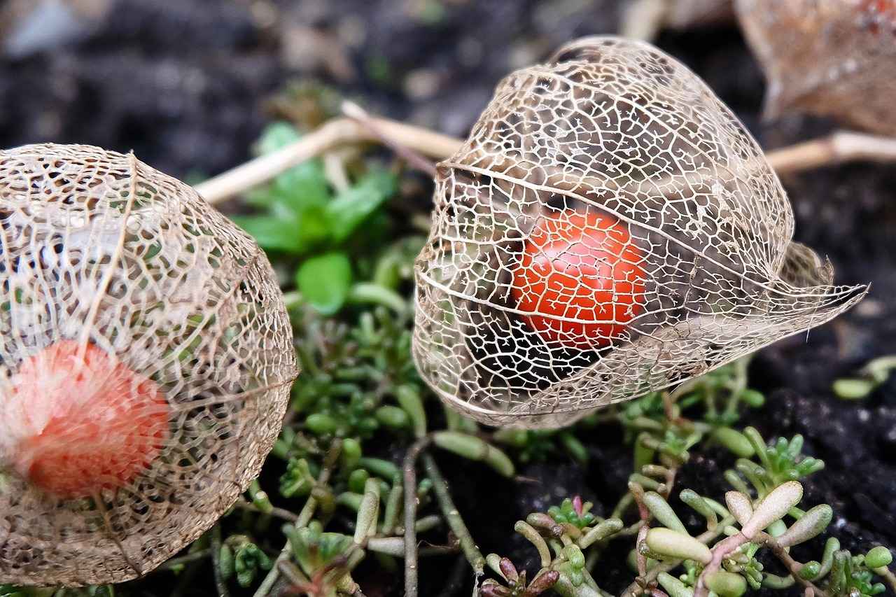 Modern Kırtasiye Ürünlerinin Evrimi