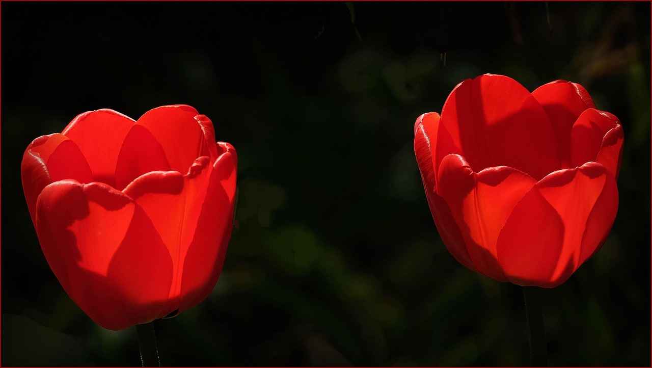 Kalem Ucu Çeşitleri ve Kullanımları