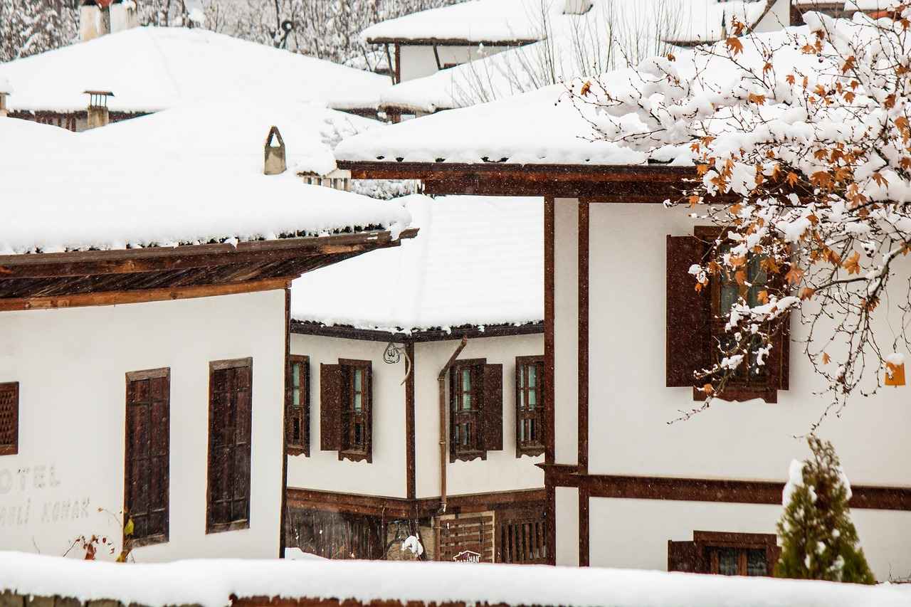 Kalemlerin Tarihi ve Evrimi