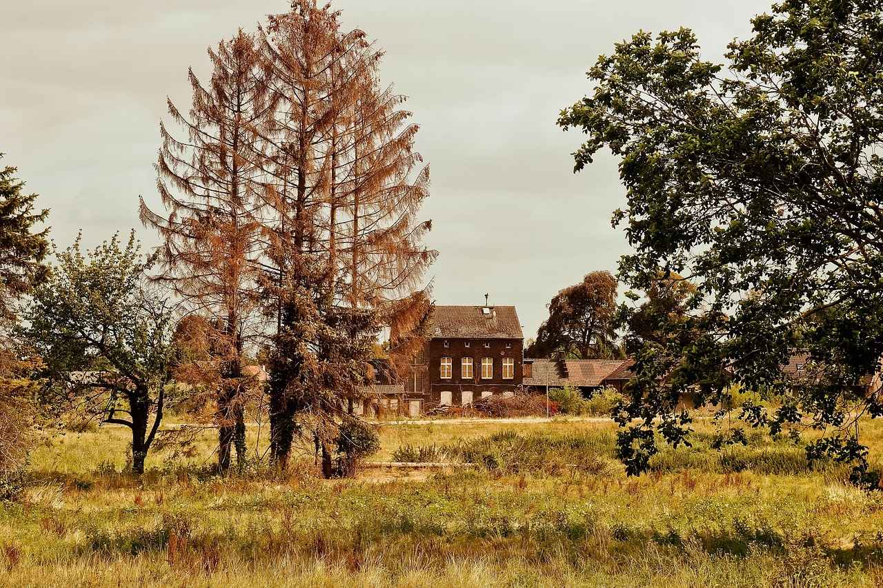 Kil Hamuru ile Eğlenceli Aktiviteler