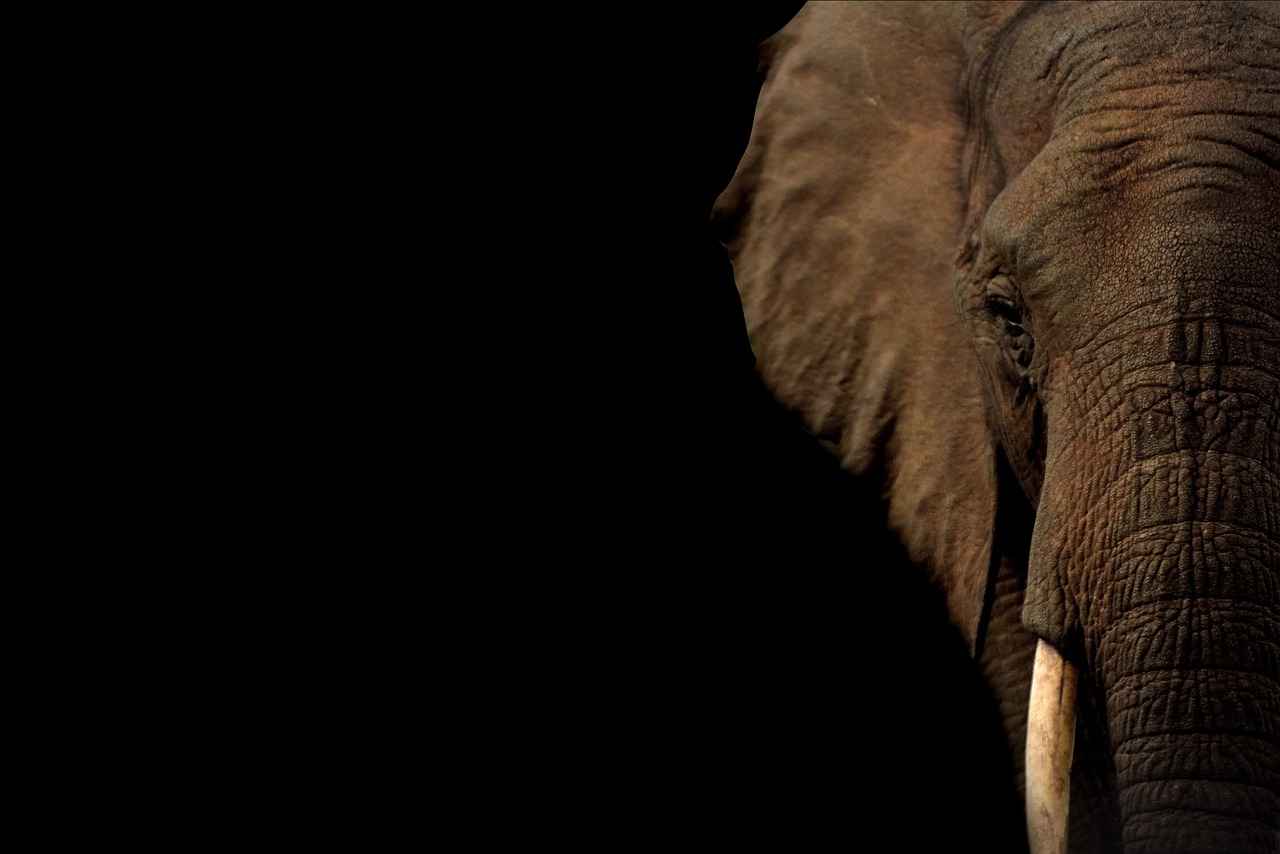 Kırtasiye Fotokopi Hizmetleri Nedir?