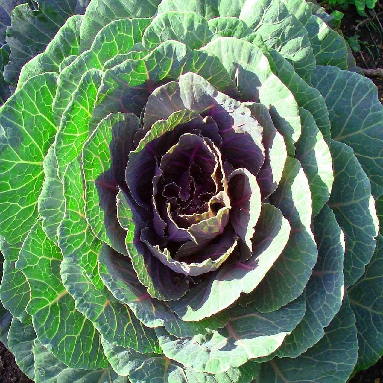 Kurşun Kalem Nedir?