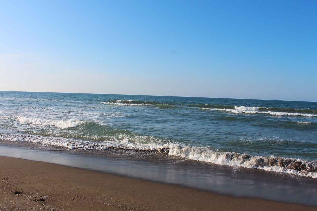 Popüler Mavi Tükenmez Kalem Markaları