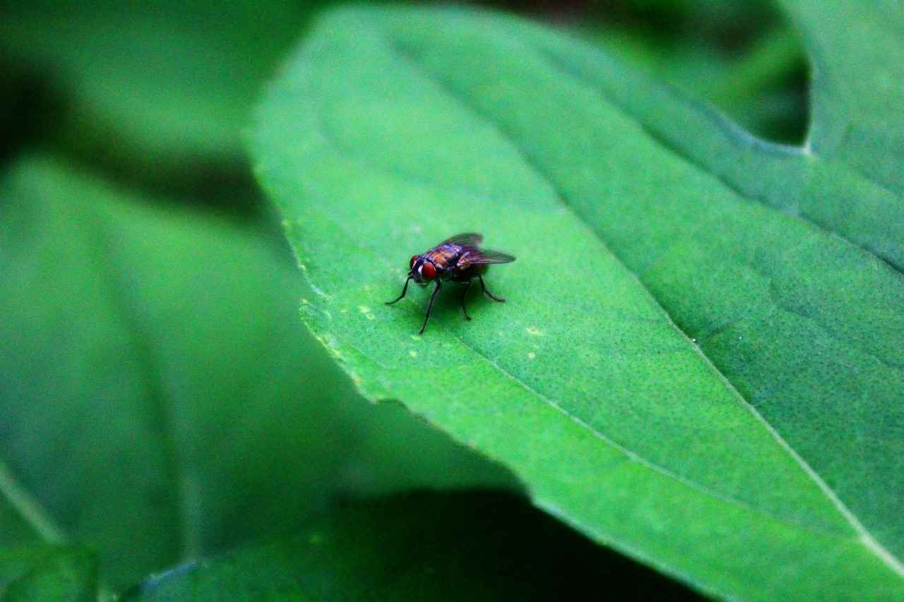 Mikro Uçlu Kalemlerin Kullanım Alanları